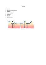 Referāts 'Eksistence un esamība', 2.