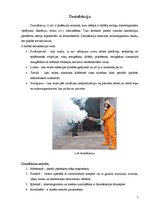 Referāts 'Dezinfekcijas līdzekļi', 2.