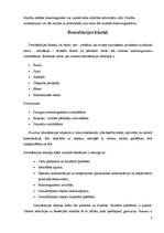 Referāts 'Dezinfekcijas līdzekļi', 4.