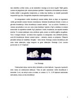 Referāts 'Dezinfekcijas līdzekļi', 5.