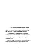 Biznesa plāns 'Biznesa plāns - sporta bārs', 17.