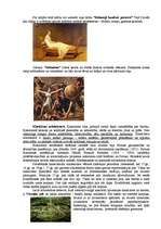 Konspekts 'Klasicisms', 10.