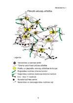 Referāts 'Tūrisma noteicošo faktoru analīze Cēsu rajona Priekuļu pagastā', 17.