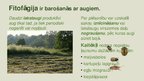 Prezentācija 'Biotiskie faktori', 12.