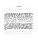 Eseja 'Sabiedriskās lietošanas preču un pakalpojumu ražošanas un pieejamības funkcija', 1.