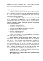 Diplomdarbs 'SIA "Sakret" attīstības stratēģija un tās novērtējums', 19.