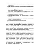 Diplomdarbs 'SIA "Sakret" attīstības stratēģija un tās novērtējums', 20.