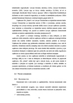 Diplomdarbs 'SIA "Sakret" attīstības stratēģija un tās novērtējums', 32.