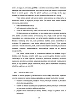 Diplomdarbs 'SIA "Sakret" attīstības stratēģija un tās novērtējums', 36.