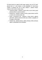 Diplomdarbs 'SIA "Sakret" attīstības stratēģija un tās novērtējums', 41.