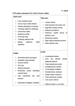 Diplomdarbs 'SIA "Sakret" attīstības stratēģija un tās novērtējums', 55.