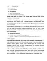 Referāts 'Civiltiesību objekti', 9.