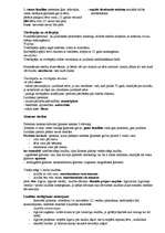 Konspekts 'Romas valsts izveidošana un attīstība', 2.