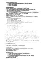 Konspekts 'Romas valsts izveidošana un attīstība', 5.