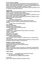 Konspekts 'Romas valsts izveidošana un attīstība', 8.