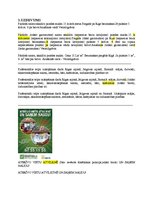 Paraugs 'Ortogrāfija, orģinālrakstības princips, transliterēšana, pareizrakstība', 1.