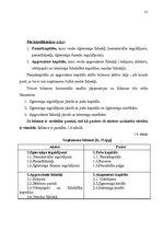 Referāts 'Uzņēmējdarbības ekonomiskās priekšrocības un trūkumi mazā uzņēmumā', 21.