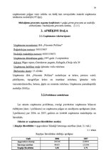 Referāts 'Uzņēmējdarbības ekonomiskās priekšrocības un trūkumi mazā uzņēmumā', 28.