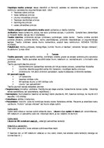 Konspekts 'Ievads tiesību zinātnēs', 4.