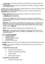 Konspekts 'Ievads tiesību zinātnēs', 13.