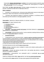 Konspekts 'Ievads tiesību zinātnēs', 19.