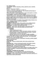 Konspekts 'Valsts varas formas un pārvaldes formas', 9.