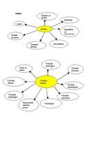 Konspekts 'Valsts varas formas un pārvaldes formas', 23.