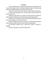 Diplomdarbs 'Atpūtas bāzes "Radi" mārketinga koncepcija', 4.