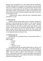 Diplomdarbs 'Atpūtas bāzes "Radi" mārketinga koncepcija', 13.