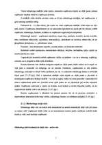 Diplomdarbs 'Atpūtas bāzes "Radi" mārketinga koncepcija', 14.