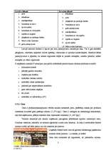 Diplomdarbs 'Atpūtas bāzes "Radi" mārketinga koncepcija', 21.