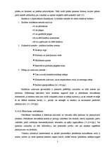 Diplomdarbs 'Atpūtas bāzes "Radi" mārketinga koncepcija', 28.