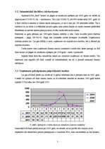 Diplomdarbs 'Atpūtas bāzes "Radi" mārketinga koncepcija', 35.