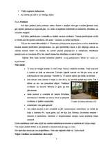 Diplomdarbs 'Atpūtas bāzes "Radi" mārketinga koncepcija', 39.