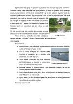 Diplomdarbs 'Atpūtas bāzes "Radi" mārketinga koncepcija', 41.