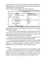 Diplomdarbs 'Atpūtas bāzes "Radi" mārketinga koncepcija', 43.