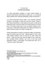 Referāts 'ASV liberālais internacionālisms un iebrukums Irākā', 4.