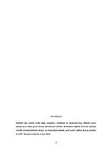 Referāts 'ASV liberālais internacionālisms un iebrukums Irākā', 17.