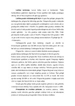 Referāts 'Graudaugu augšanas un attīstības fāzes', 28.