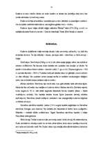 Referāts 'Senā Indija', 13.