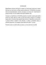 Konspekts 'Jautājumi ieskaites priekšmetā “ES darba tiesības”', 21.