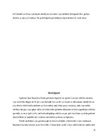 Referāts 'Jāņa Staņislava Rozes portretu raksturojums', 12.