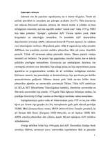 Referāts 'Interneta vēsture. Informācijas meklēšanas procesa īstenošana internetā', 3.