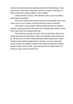 Referāts 'Bakalaura darbu analīze', 4.