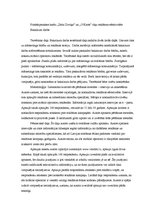 Referāts 'Bakalaura darbu analīze', 5.