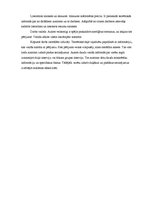 Referāts 'Bakalaura darbu analīze', 6.