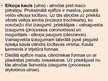 Prezentācija 'Rokas anatomija un fizioloģija', 6.