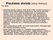 Prezentācija 'Rokas anatomija un fizioloģija', 7.