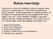 Prezentācija 'Rokas anatomija un fizioloģija', 12.