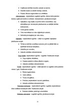 Biznesa plāns 'SIA "Gailīši" biznesa plāns', 10.